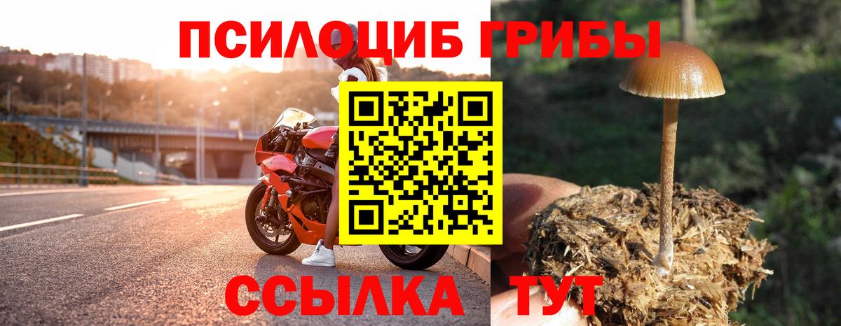 Архангельск  Галлюциногенные грибы Psilocybe  Вход с VPN 